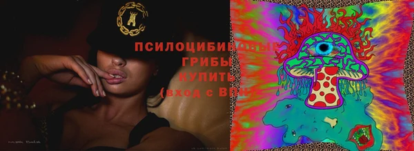 гашик Алексин