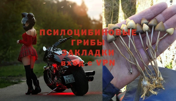 дмт Абаза